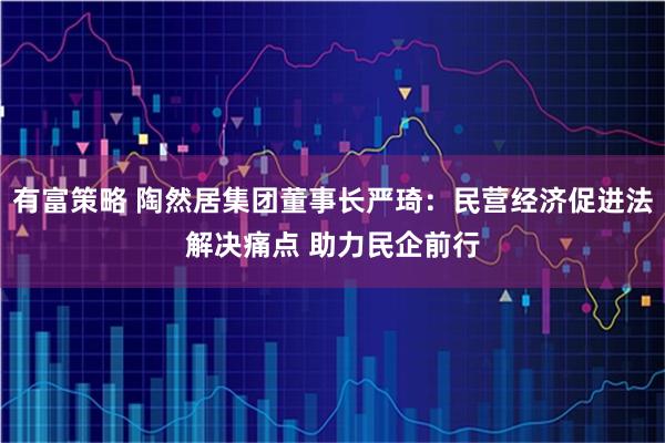 有富策略 陶然居集团董事长严琦：民营经济促进法解决痛点 助力民企前行